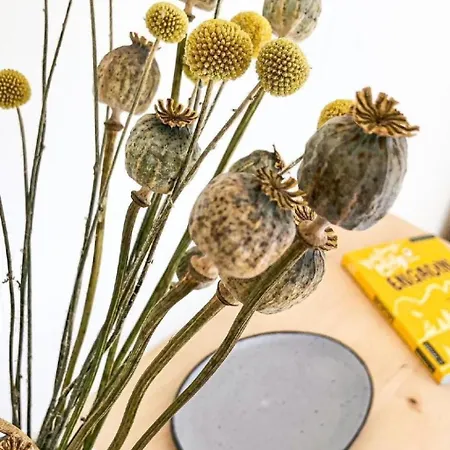 Fried- Natuera By Interhome Apartment