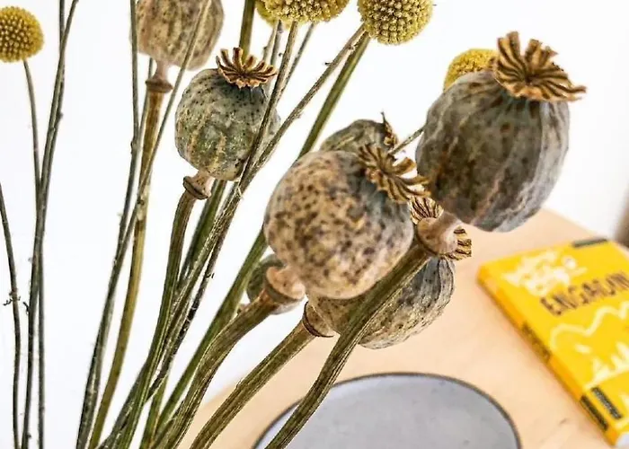 Fried- Natuera By Interhome Apartment